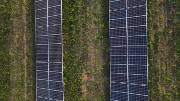 Экология солнечные электростанции панели в полях зеленой энергии на закате пейзаж электрические инновации окружающей среды - Кадры, видео