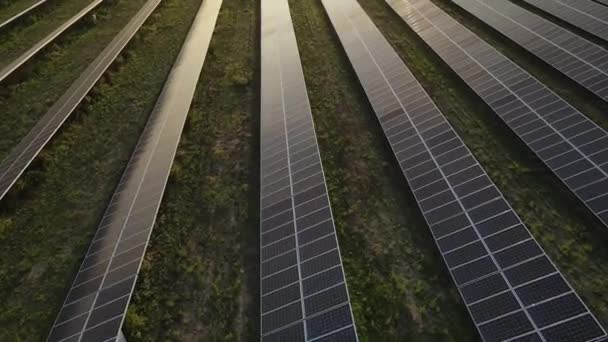 Экология солнечные электростанции панели в полях зеленой энергии на закате пейзаж электрические инновации окружающей среды - Кадры, видео