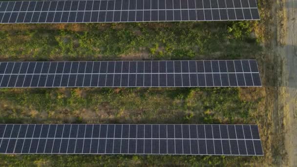 Ecologia painéis de centrais solares nos campos energia verde ao pôr do sol paisagem inovação elétrica natureza ambiente - Filmagem, Vídeo