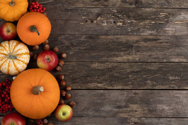 Autumn food background, pumpkin, apple, nut, rowan on old tabletop background with copy space for text - Photo, image