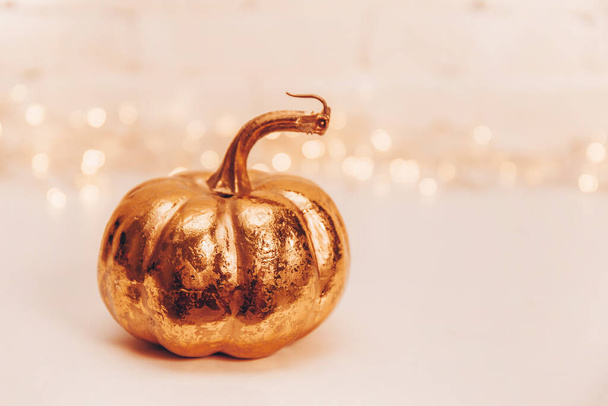 Golden autumn pumpkin on a light background with beautiful bokeh photo with copy space for text - 写真・画像