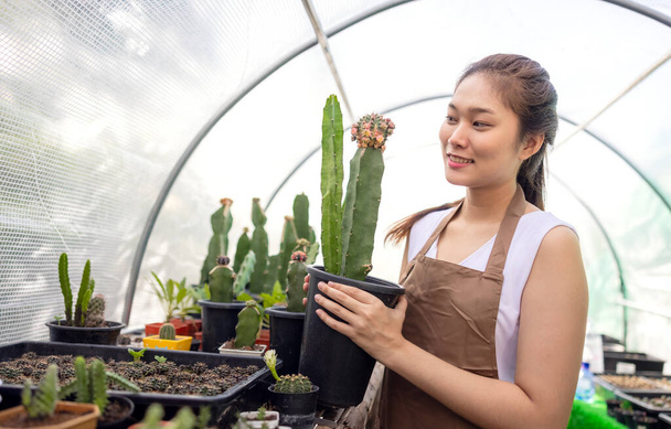 Il giardinaggio del cactus è un passatempo popolare tra le donne asiatiche. - Foto, immagini