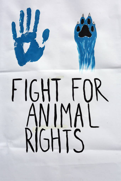  Póster - lucha por los derechos de los animales, fotografía - Foto, Imagen