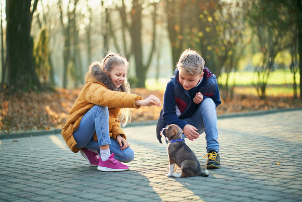 Brother and sister enjoying good time with lovely pet in park. - Photo, image