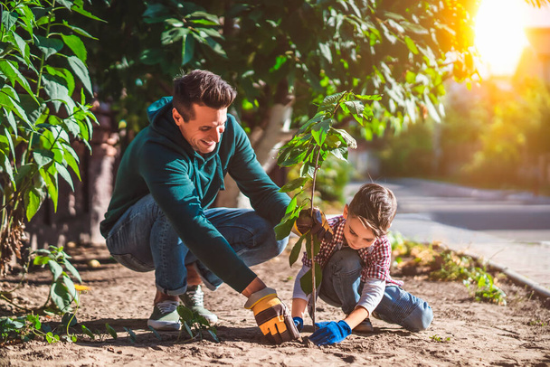 El padre y el hijo plantando un árbol - Foto, Imagen
