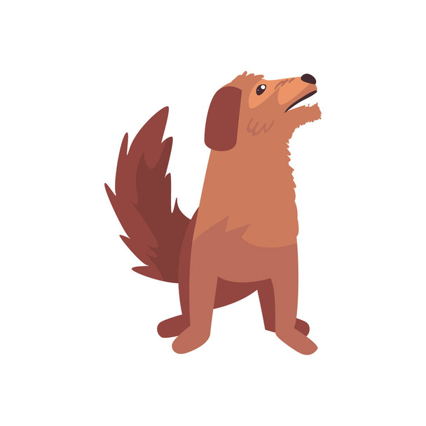 cute brown dog - Vector, Image