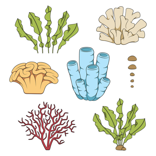 Set di illustrazioni a colori con coralli e alghe. Oggetti vettoriali isolati su sfondo bianco. - Vettoriali, immagini