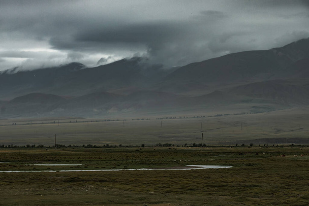 De nabijheid van het district centrum van Kosh-Agach in het zuiden van het Chuysky tract in Altai - Foto, afbeelding