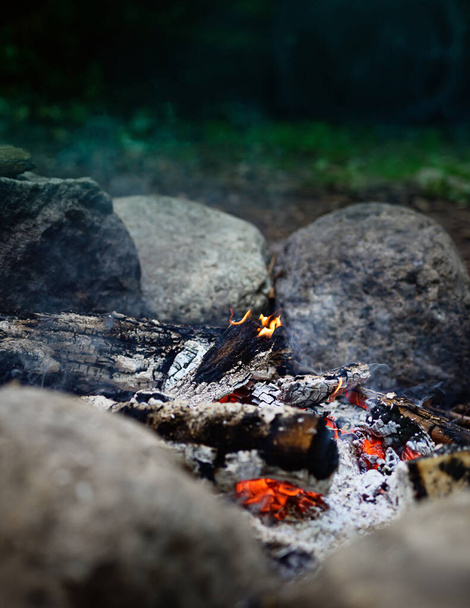 A burning bonfire at the camping site in the forest - Φωτογραφία, εικόνα