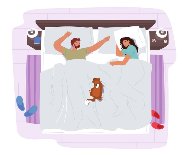 Casal jovem dormindo na cama com gato engraçado. Personagens masculinos e femininos Night Relax. Homem e mulher vestindo pijama dormir - Vetor, Imagem