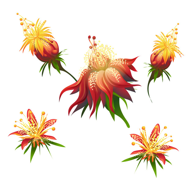 Джунглях квіти
 - Вектор, зображення