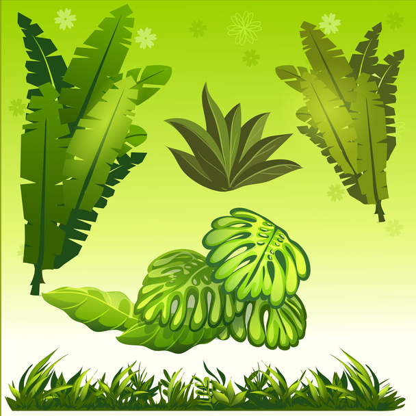 Листья и газонные джунгли
 - Вектор,изображение