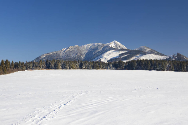 paesaggio invernale nelle vicinanze Oravice, Tatra occidentale (Rohace), Slovacchia - Foto, immagini