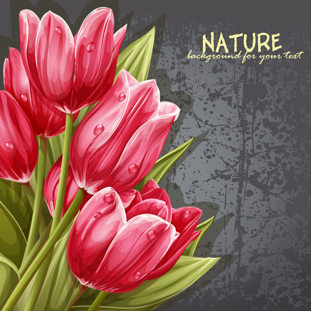 bukiet różowe tulipany dla tekstu - Wektor, obraz