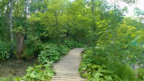 POV: Walking along an empty boardwalk leading around the Plitvice national park. - Footage, Video