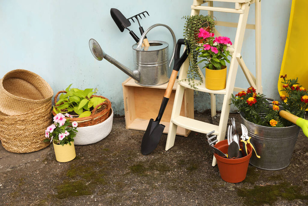Beautiful plants, gardening tools and accessories near shed outdoors - Foto, Bild