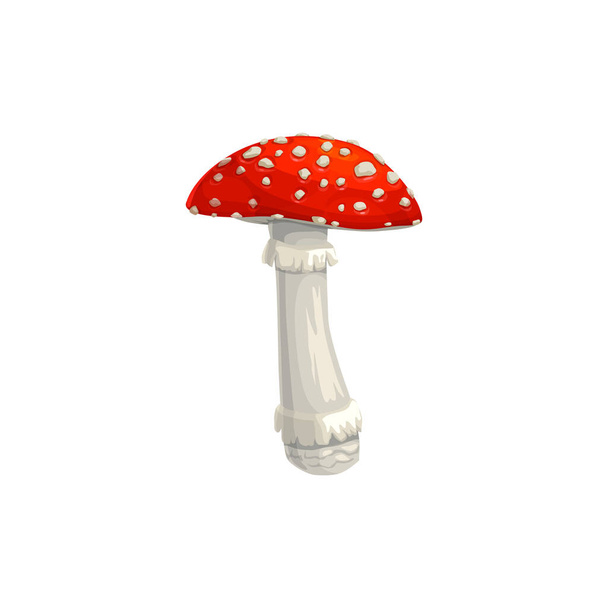 Amanita houba, podzimní muskaria létat agarické ikony, vektor izolovaný. Amanita houba s červenou čepicí, svátky díkůvzdání a lesní podzim symbol sklizně - Vektor, obrázek