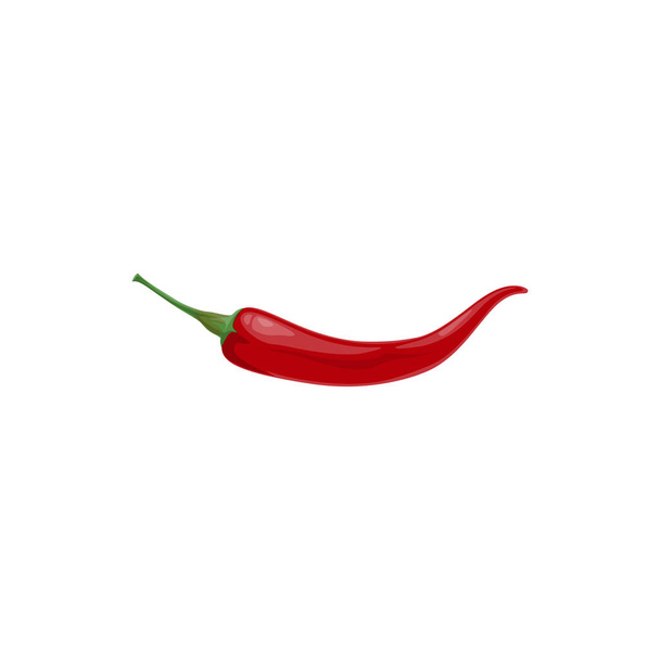Chili pepř vektor červená horká chilli zelenina, pikantní přírodní koření, jalapeno izolované na bílém pozadí. Kreslený prvek pro design, ekologická zelenina, zralé rostliny, ekologická zemědělská produkce - Vektor, obrázek