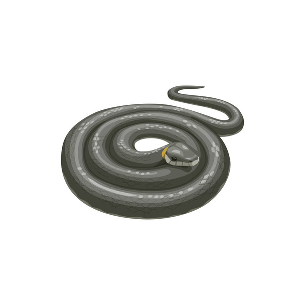 Snake icon, pest control extermination and disinfection service, isolated vector. Domestic pest control and snakes extermination, dangerous animals disinfestation and disinfection - Vector, Image