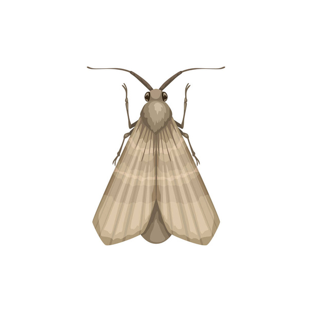 Moth icon, insect pest control disinsection and domestic sanitary extermination, vector. Moth or clothes moth vermin and parasite insect, disinfection and agrarian pesticide pest control - Vector, Image