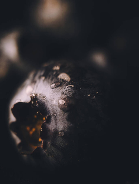 A vertical shot of blueberry on a dark background - Foto, afbeelding
