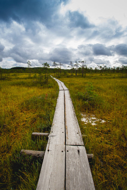 A vertical shot of a narrow wooden walkway in a field under a cloudy sky in the countryside - Fotoğraf, Görsel