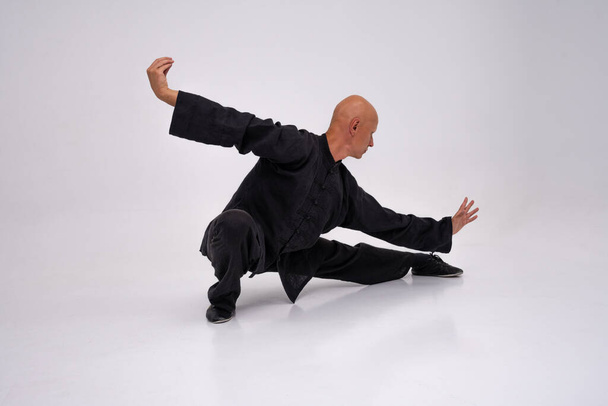Wushu master in training process - Zdjęcie, obraz