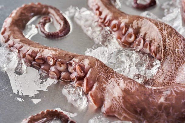 Fresh octopus in ice on a stainless steel cutting board, ready to be processed - Photo, image