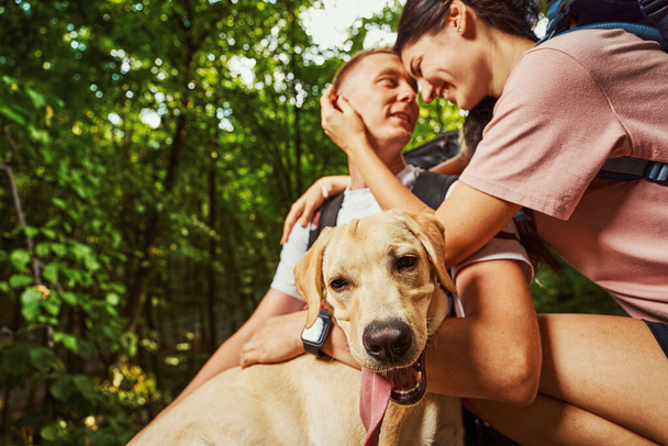Glückliches junges Paar mit Hund wandert im Wald - Foto, Bild