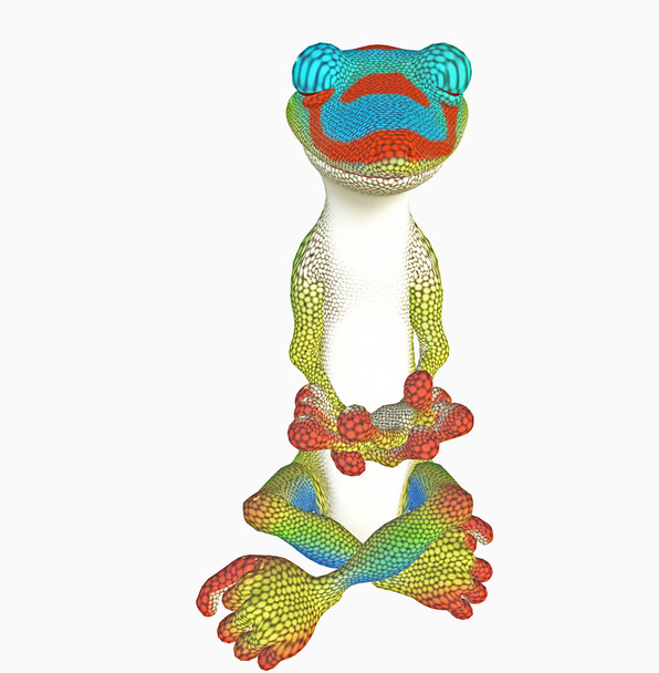 Gecko toon de yoga
 - Photo, image