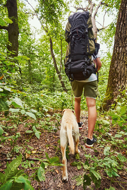 Hombre con mochila senderismo con perro en madera - Foto, imagen
