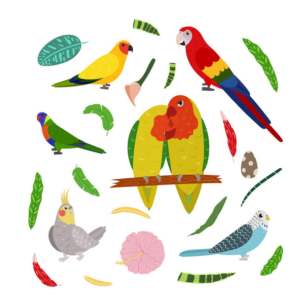 Modelo de design com papagaios em quadrado para impressão infantil. Composição retangular de aves tropicais pombinhos, arara, cacácia, aratinga e pionus. - Vetor, Imagem
