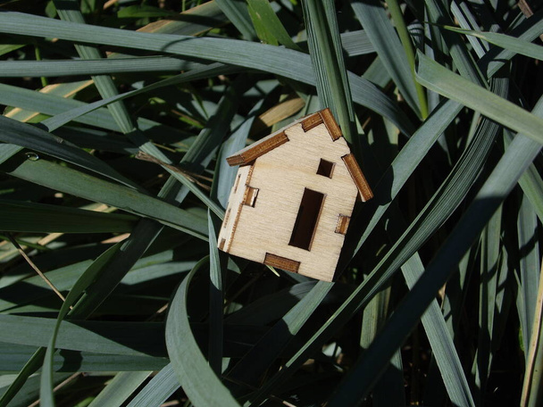Дерев'яний будинок лежить на траві
 - Фото, зображення