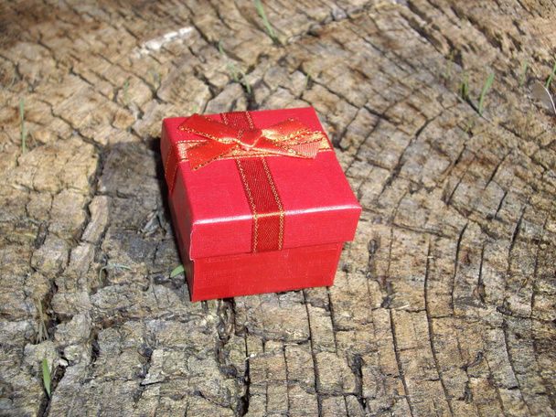 Caja de regalo roja se encuentra en un tocón del árbol - Foto, imagen