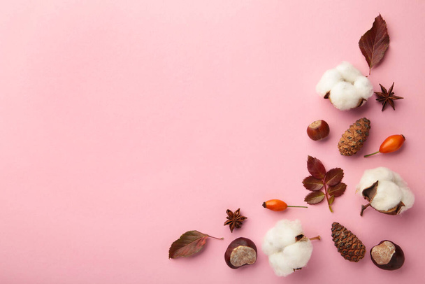 Autumn composition. Dried leaves, flowers, berries on pink background. Thanksgiving day concept. - 写真・画像