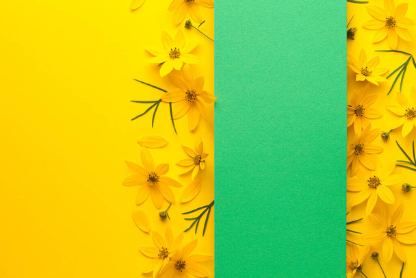 Yellow flowers layout with green banner on paper background. Threadleaf zagreb (coreopsis verticillata). Copy space. View from above, flat lay - 写真・画像