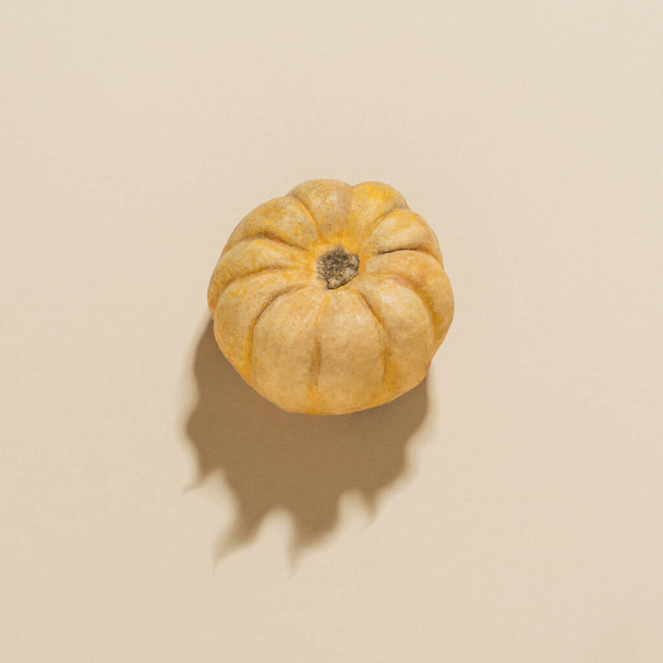Minimal halloween composition with real rustic pumpkin and flame shaped shadow against bright beige background. - Fotoğraf, Görsel