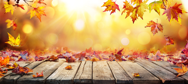秋のテーブル-秋の葉は木の板に落ちる - 写真・画像