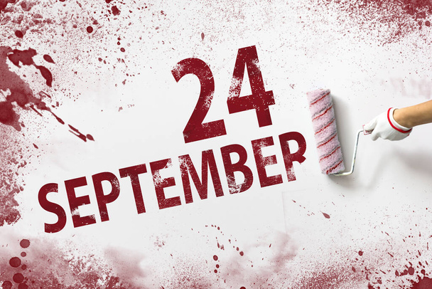 24 сентября. День 24 месяца, дата календаря. Рука держит ролик с красной краской и пишет дату календаря на белом фоне. Осенний месяц, день года - Фото, изображение