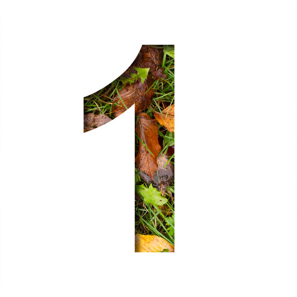 Early autumn font. Digit one, 1 cut out of paper on a background of green grass with yellow autumn leaves of trees, early autumn. Decorative nature alphabet, font collection. - Foto, Imagem
