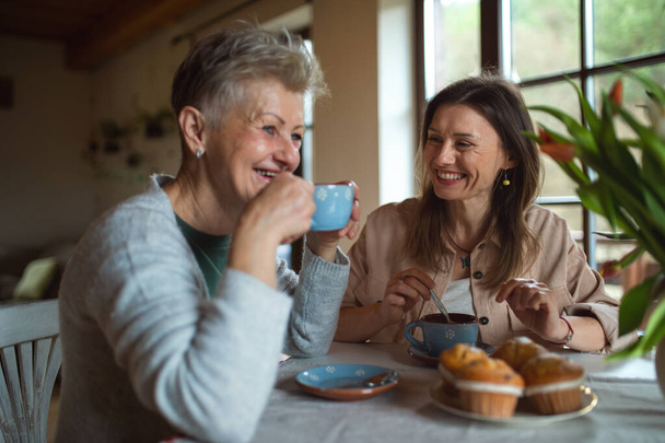 Happy senior mother having tea with adult daughter indoors at home, talking. - Foto, Imagem