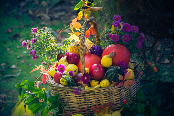 Season in the garden: a basket with fruit gifts of autumn - Fotoğraf, Görsel