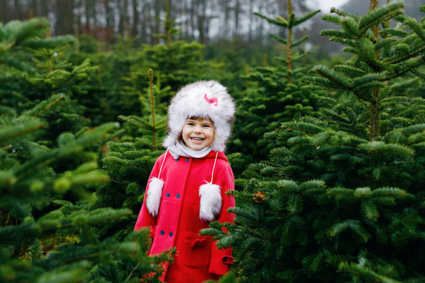 Urocza dziewczynka z choinką na plantacji jodły. Szczęśliwe dziecko w zimowych ubraniach modowych wybierając, wycinając i ścinając własne choinki w lesie, tradycja rodzinna w Niemczech - Zdjęcie, obraz