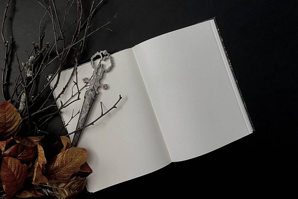 Dark Forest. Flat lay background, flat lay blank book, dark background, fantasy, horror,  - Photo, Image