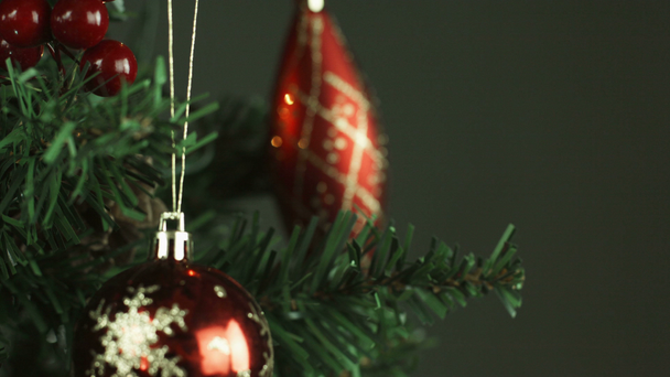 Χριστουγεννιάτικο δέντρο - Πλάνα, βίντεο