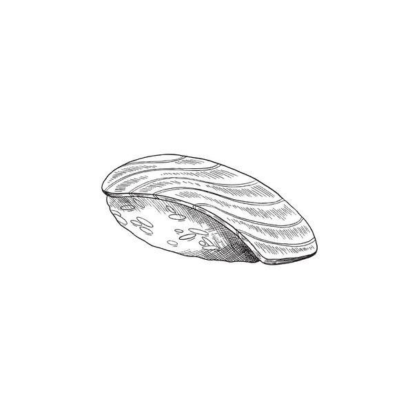 Nigiri sushi with salmon fish on rice, engraving vector illustration isolated. - Vector, Imagen
