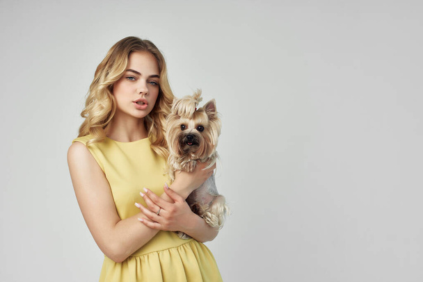 beautiful woman fashionable purebred dog isolated background - Foto, Imagem