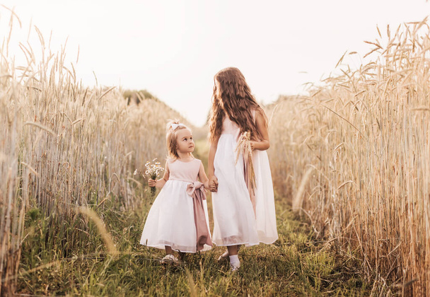 Two girls sister in white dresses walk through a wheat field by the hands - Фото, изображение