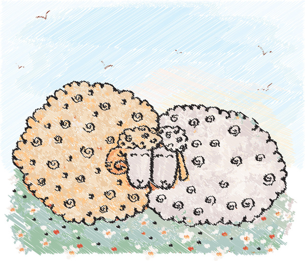 Two sheep. Vector illustation - Vector, Image