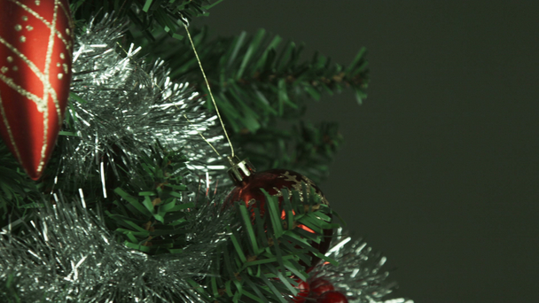 Vánoční stromek - Záběry, video